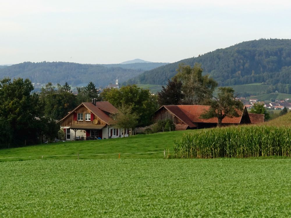 Bauernhof Hueb