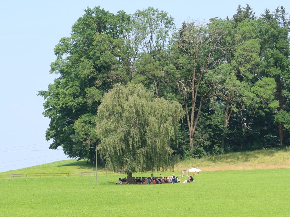 Meeting im Baumschatten
