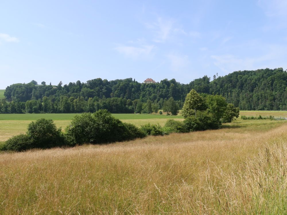 Blick Richtung Kloster St. Gallenberg