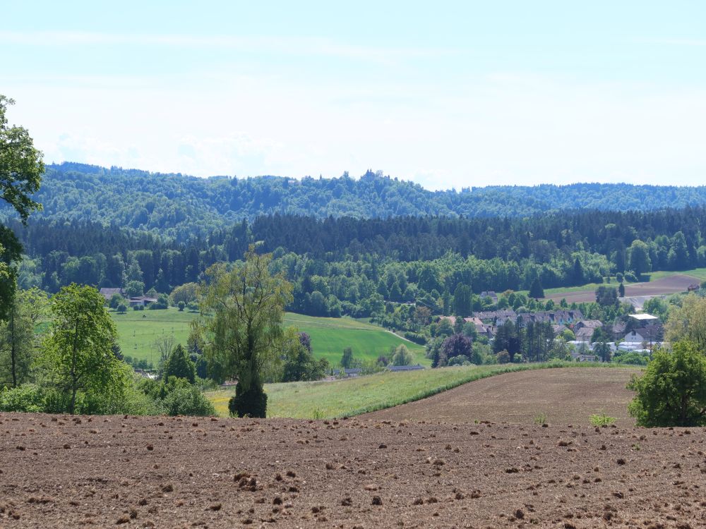 Kyburg am Horizont