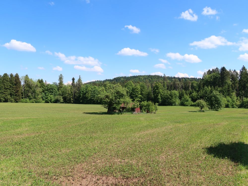 Scheune am Chölberg