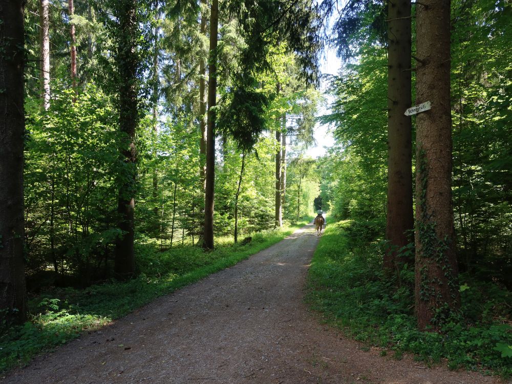 Reiter am Schneerütiweg