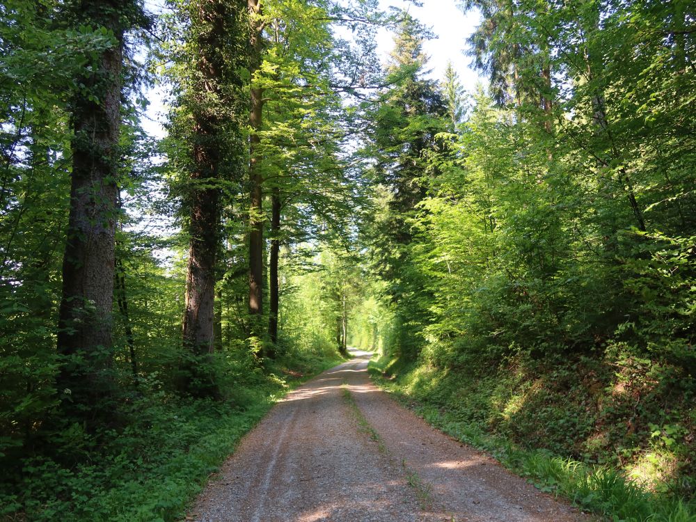 Andelbachstrasse