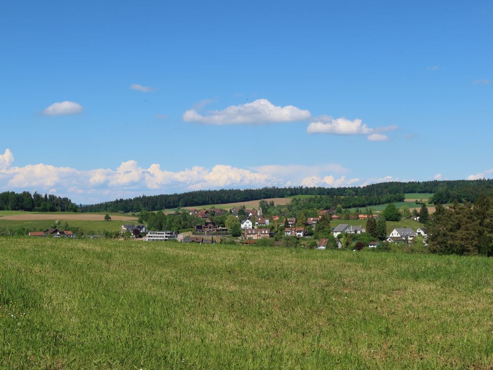Blick Richtung Elsau