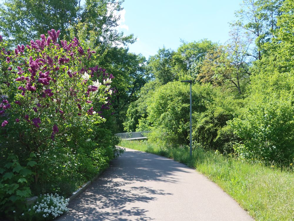 Im Heidenbühl
