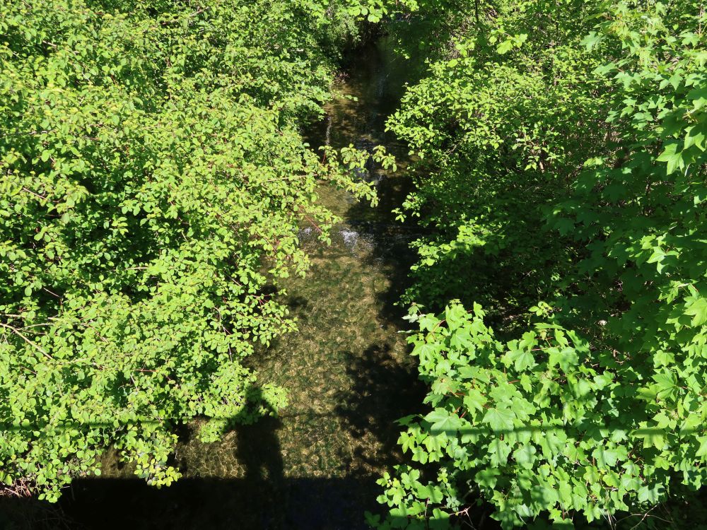 Schatten in der Eulach