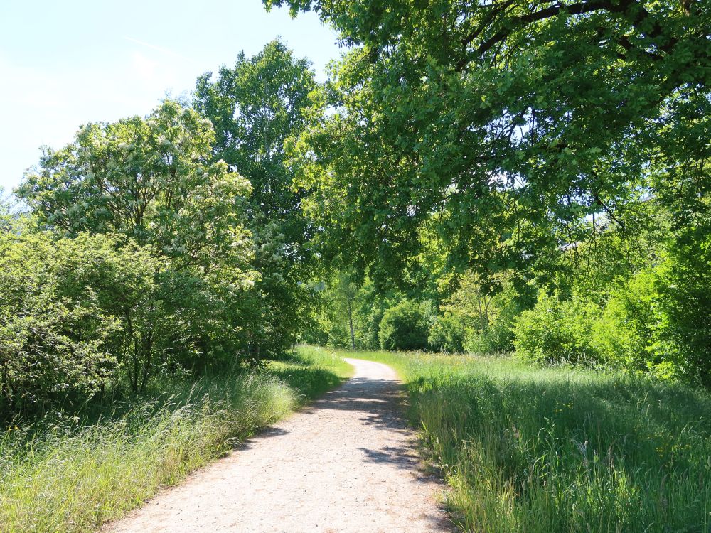 Weg an der Eulach