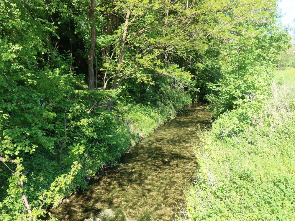 Eulach