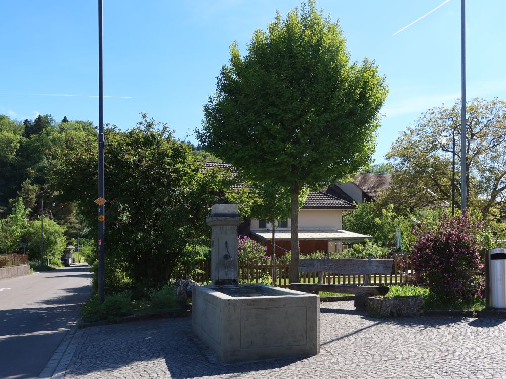 Brunnen in Rümikon