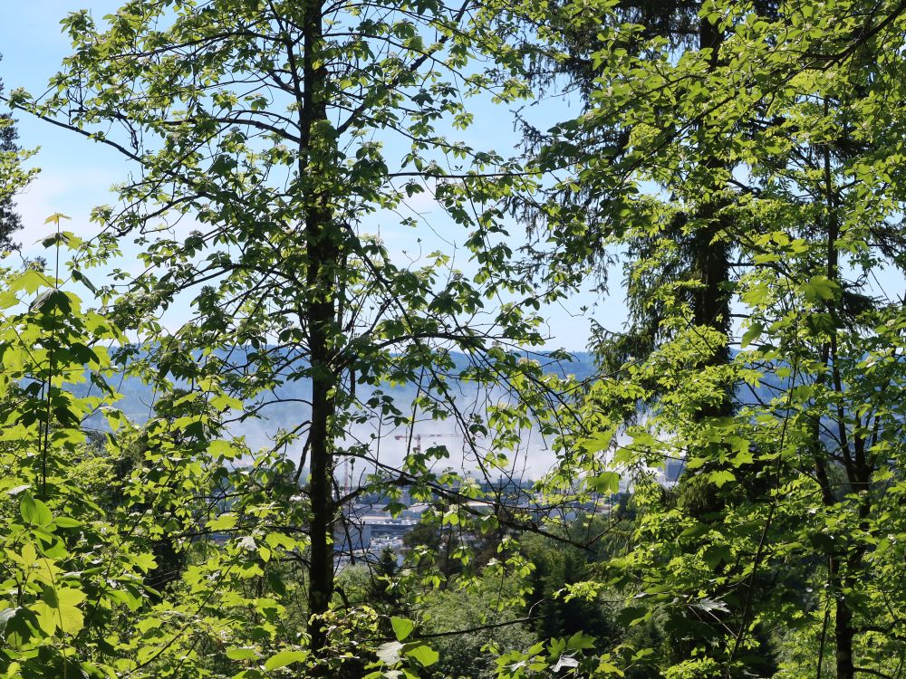 Rauch über Winterthur