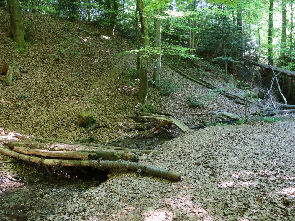 Steg übern Haarbach