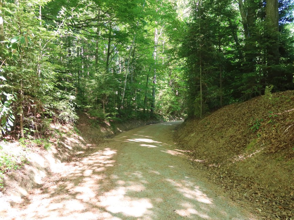 Wybergstrasse