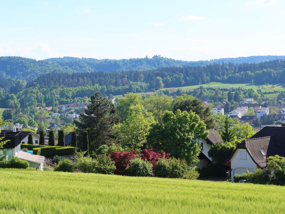 Blick Richtung Kyburg
