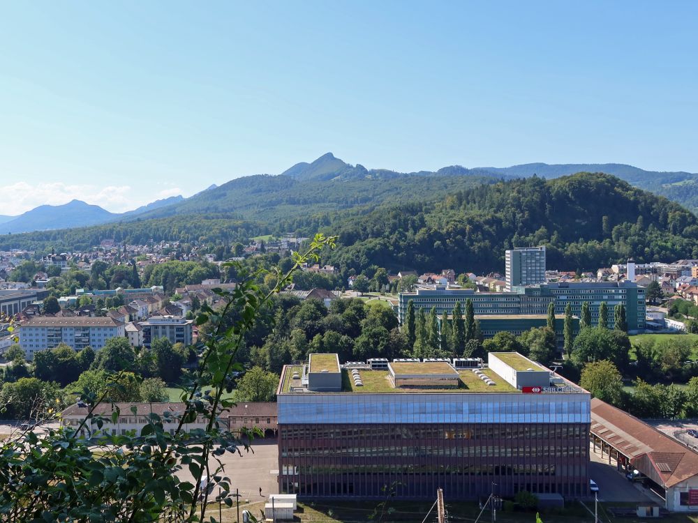 Hornflue über Olten