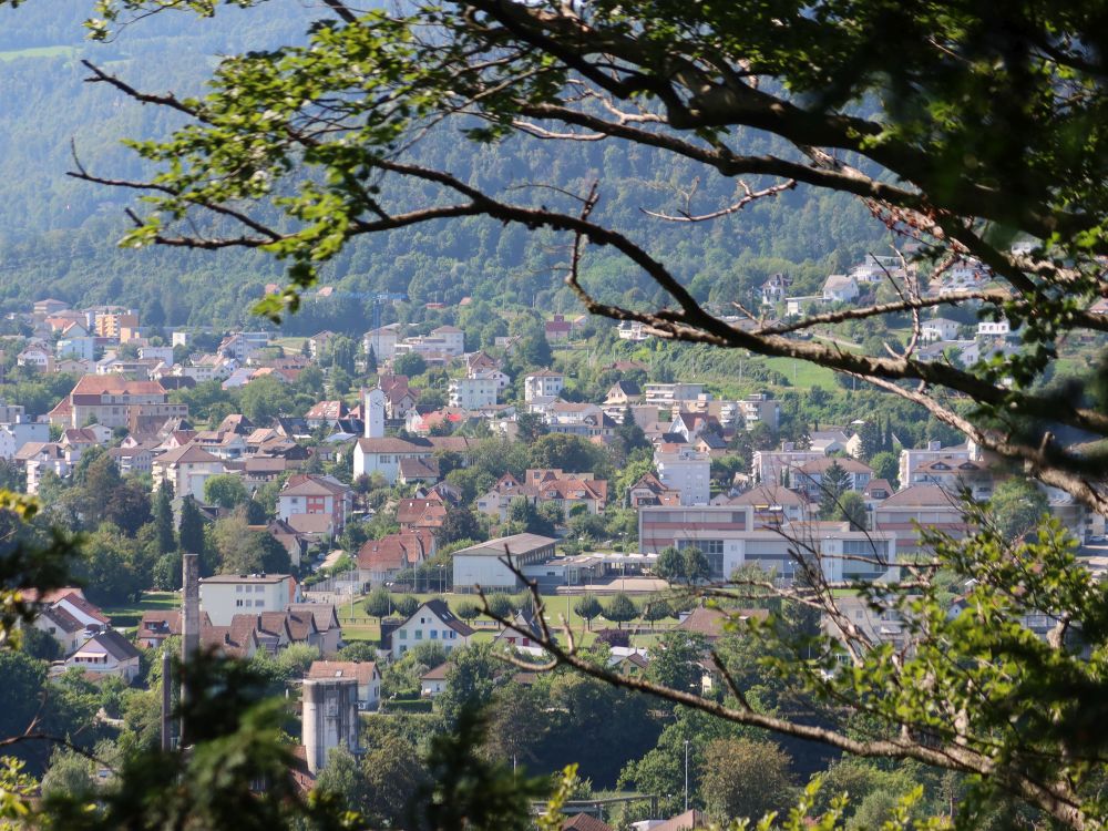 Blick auf Olten