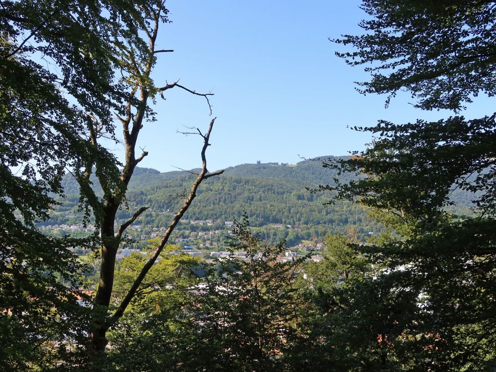 Blick zum Sendeturm Lostorf Froburg