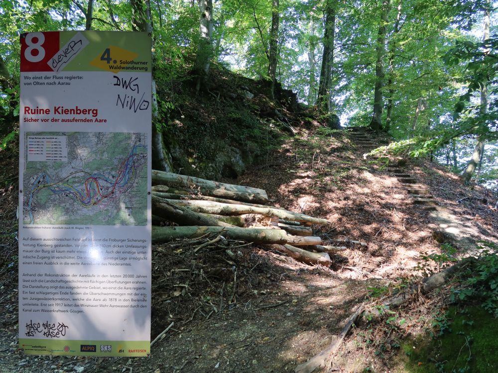 Infotafel und Pfad zur Ruine Kienberg