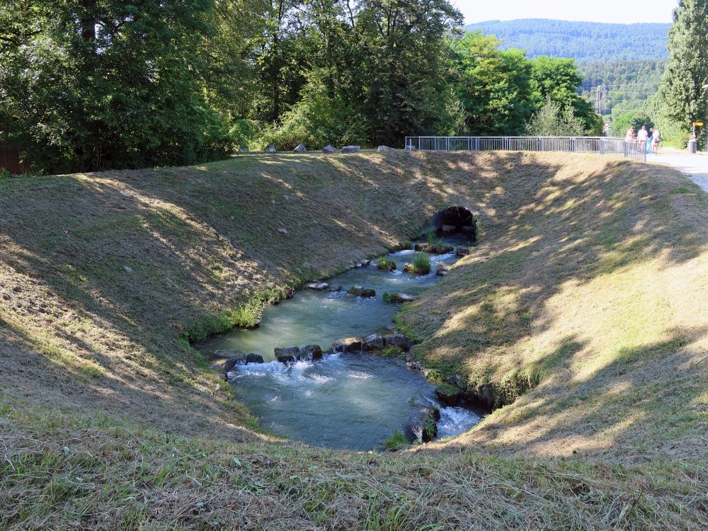 Fischtreppe um das Stauwehr