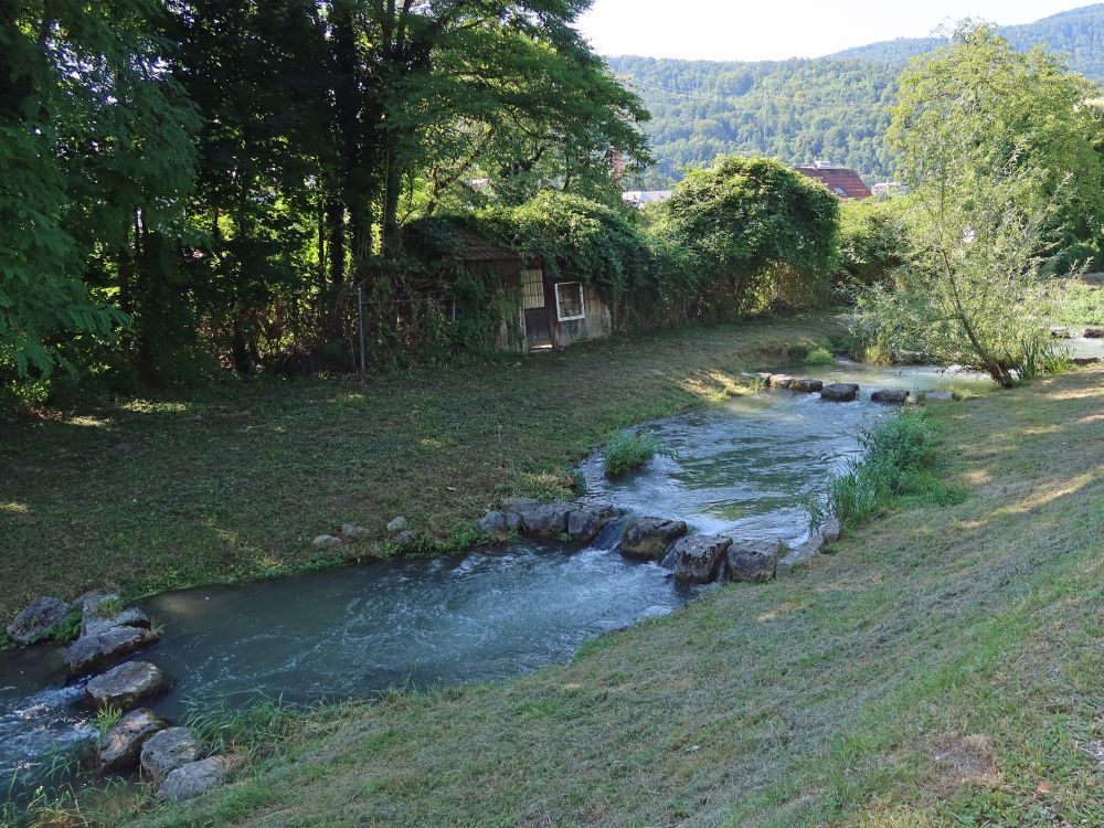 Fischtreppe um das Stauwehr