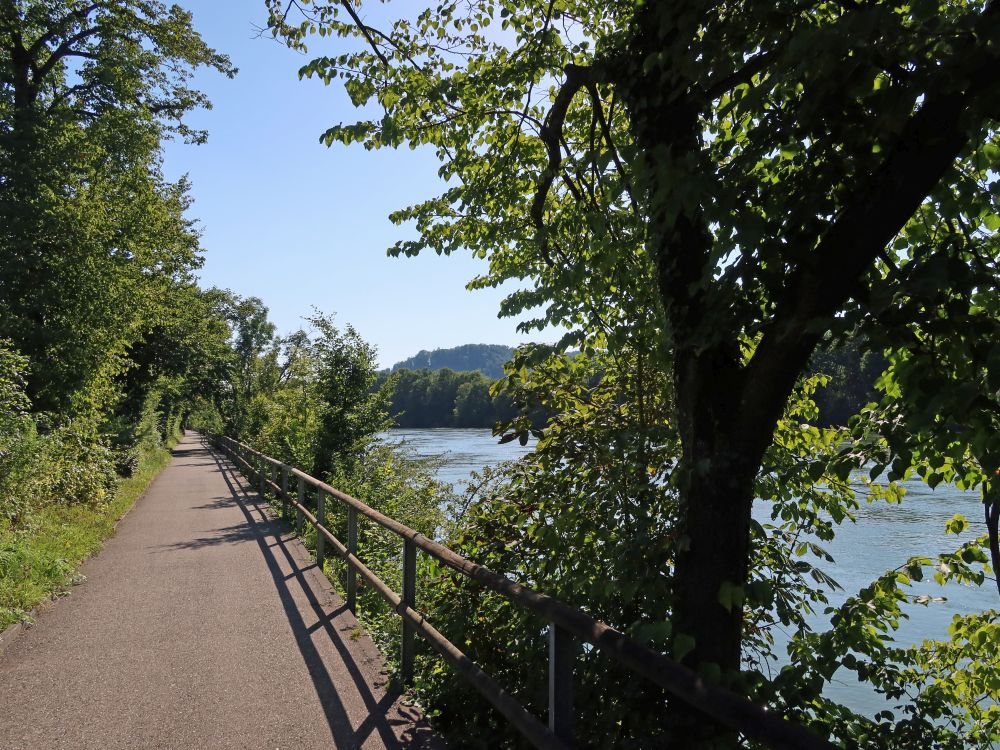 Uferweg an der Aare