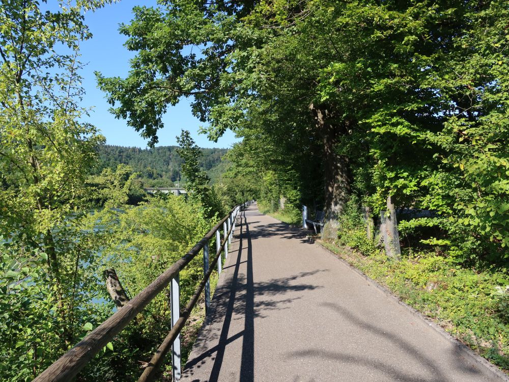 Uferweg an der Aare