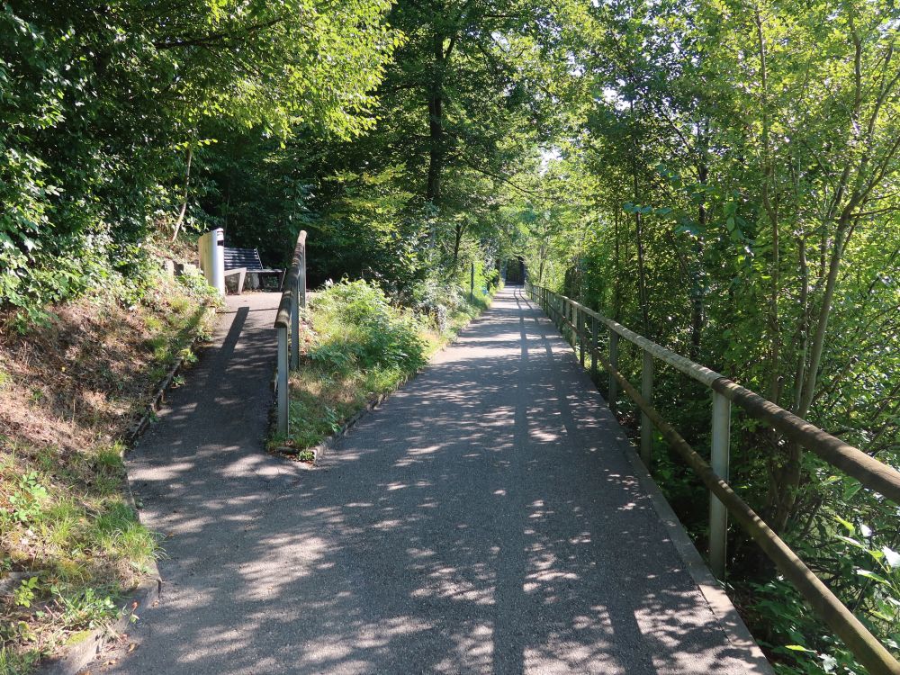 Uferweg an der Aare