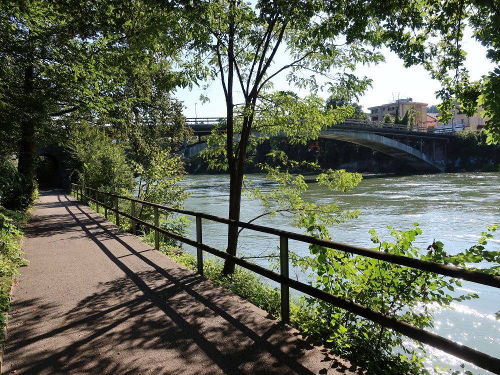 Uferweg an der Aare