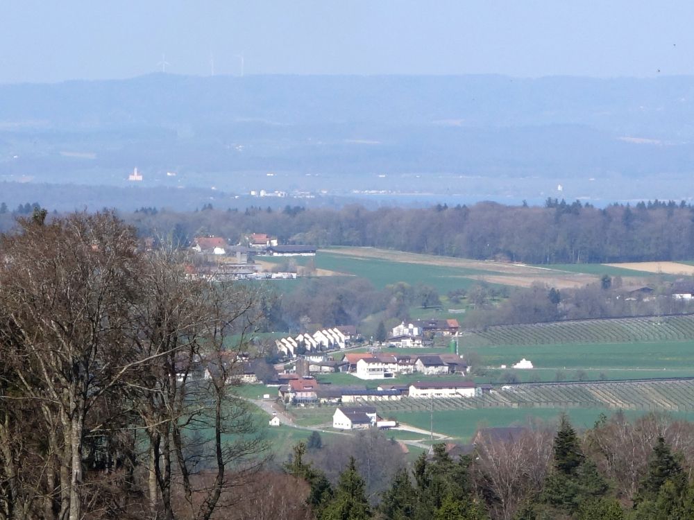 Blick Richtung Bodensee (Birnau li.)