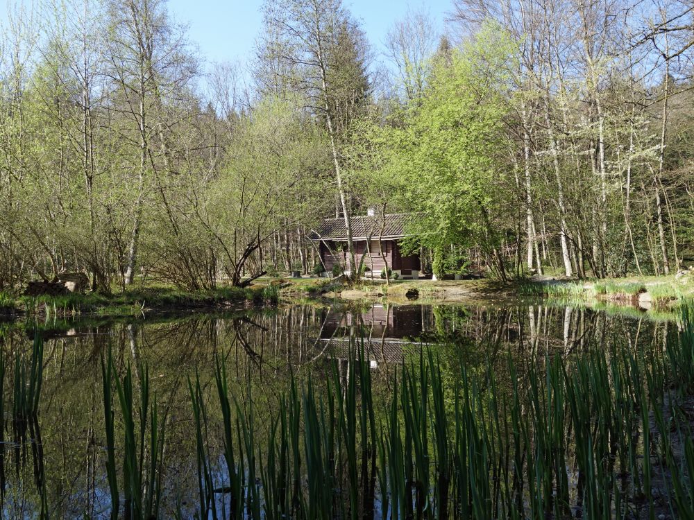 Blockhütte am Teich