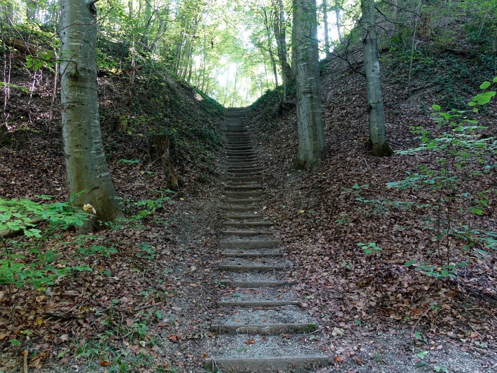 Treppe zur Ruine Neuenburg