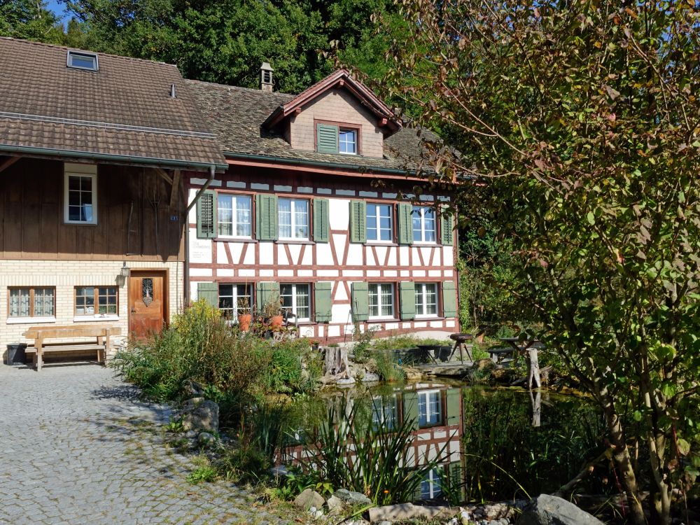 Bauernhaus mit Teich
