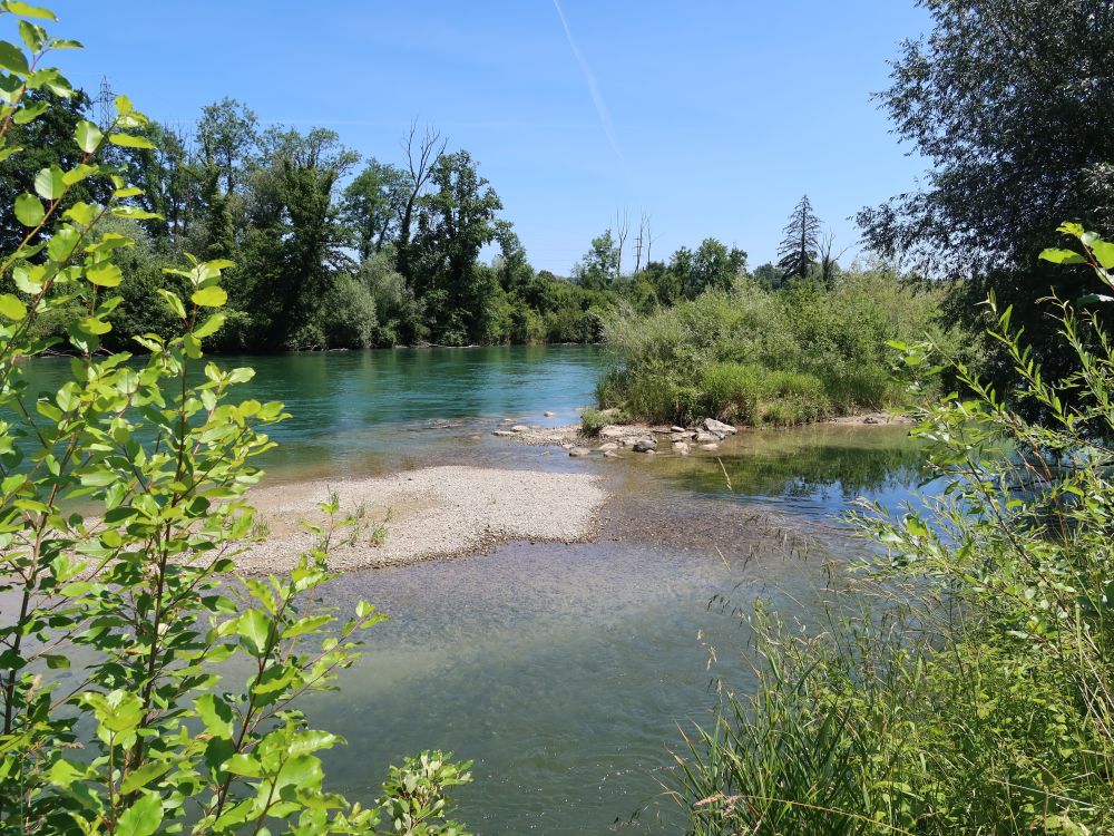 Kiesbank in der Reuss