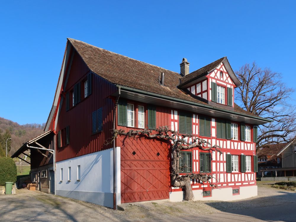 Fachwerkhaus in Weinfelden