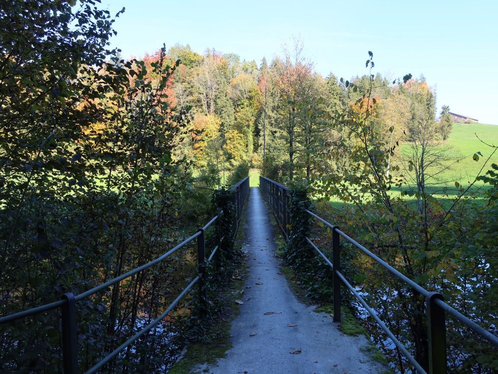 Steg über die Sitter