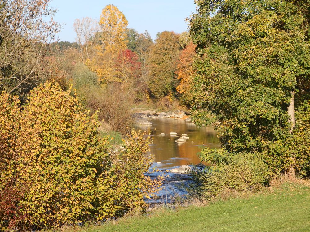 Sitter mit Herbstbäumen