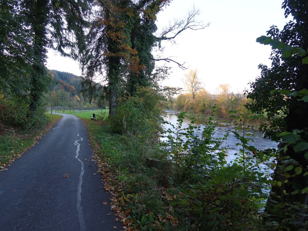 Strässchen an der Sitter bei Tobelmühle