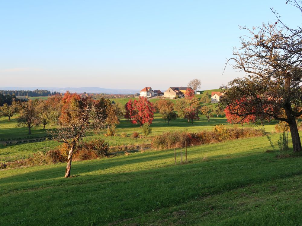 Blick Richtung Oberholz