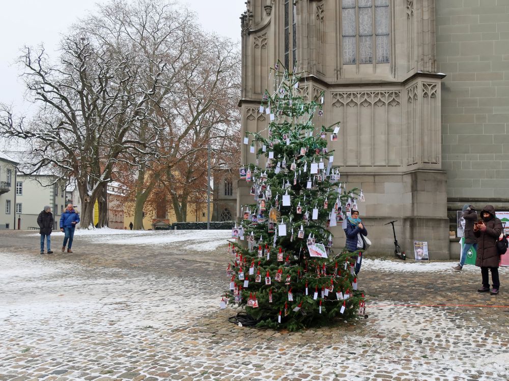 Weihnachtsbaum am Münsterplatz