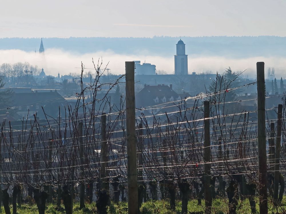 Nebel über Konstanz