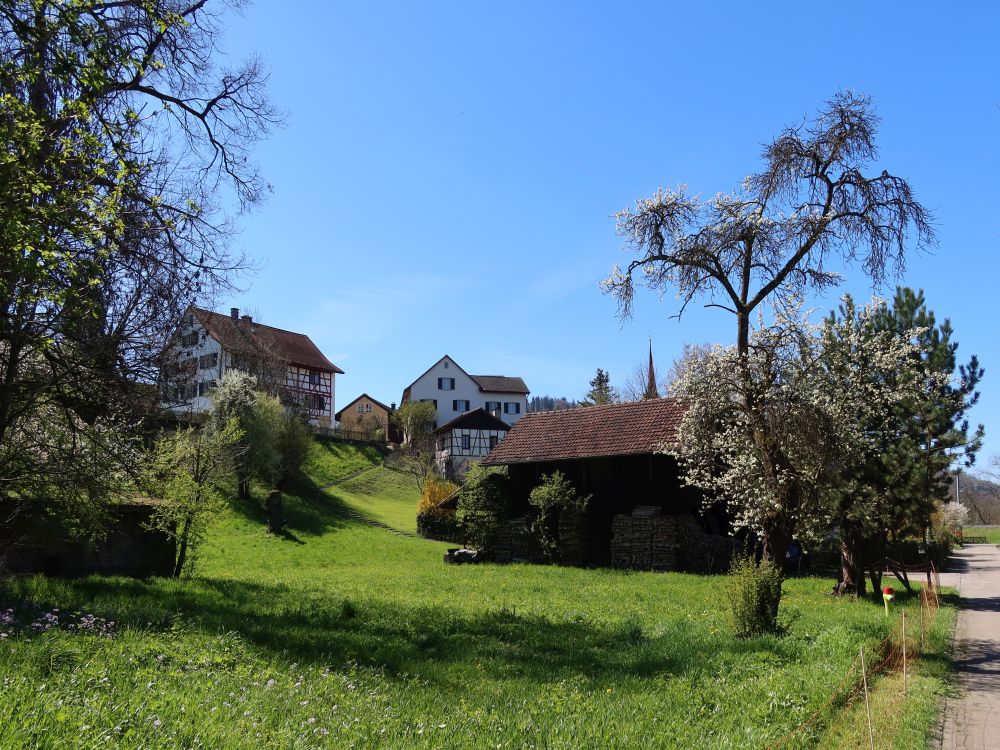 Blick Richtung Wieshofsteig