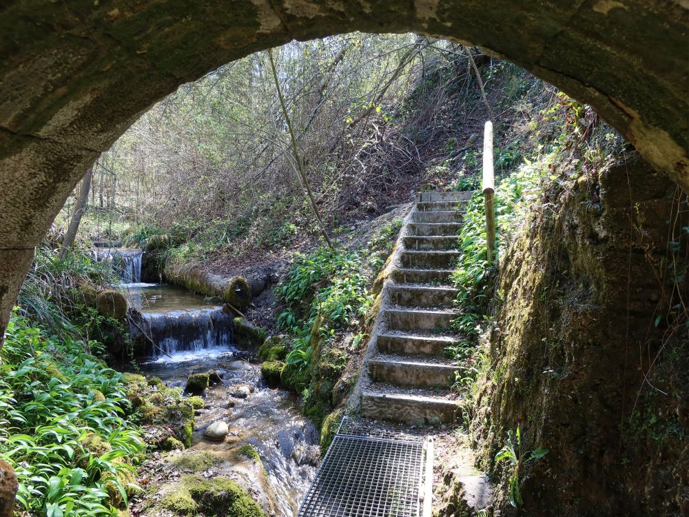 Treppe am Rietlibach