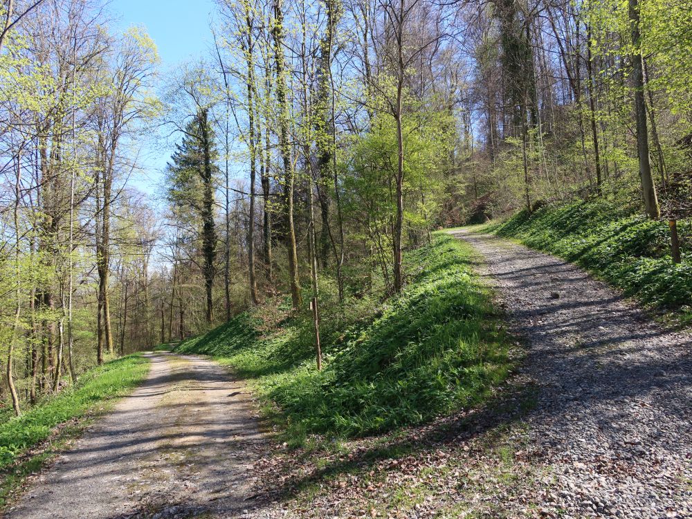 Abzweig Oberwaldstrasse