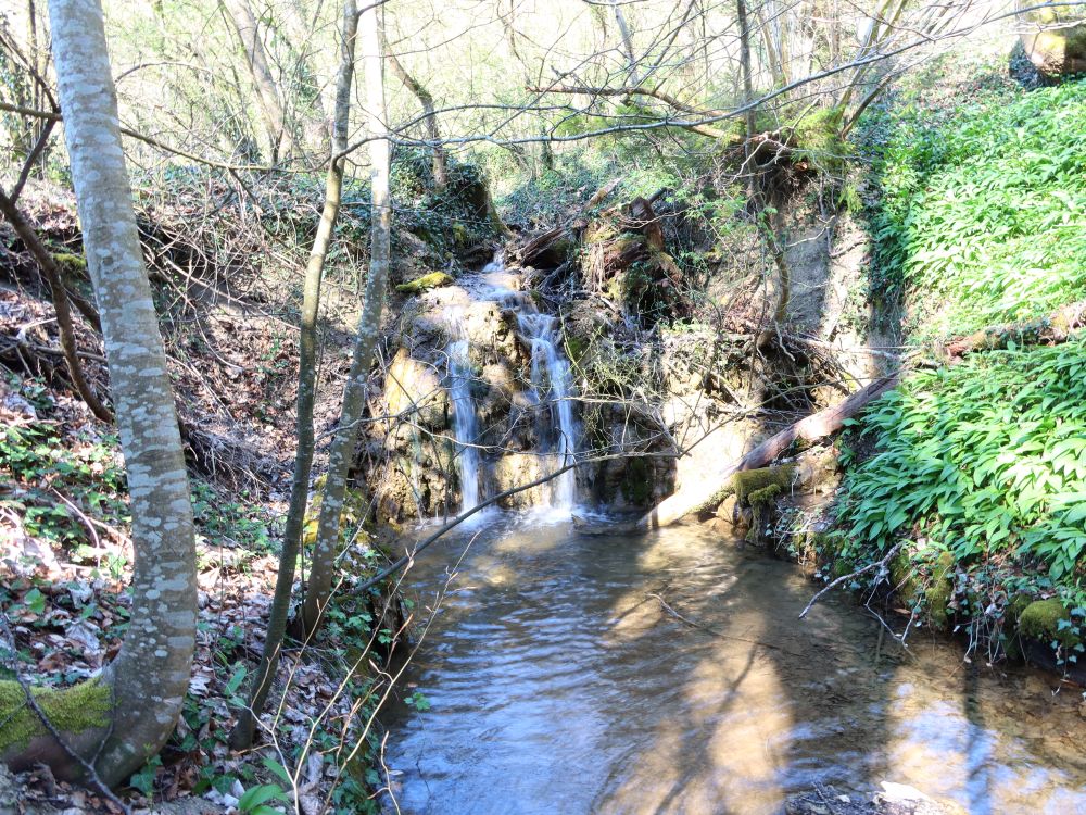 kleiner Wasserfall am Taleggbach