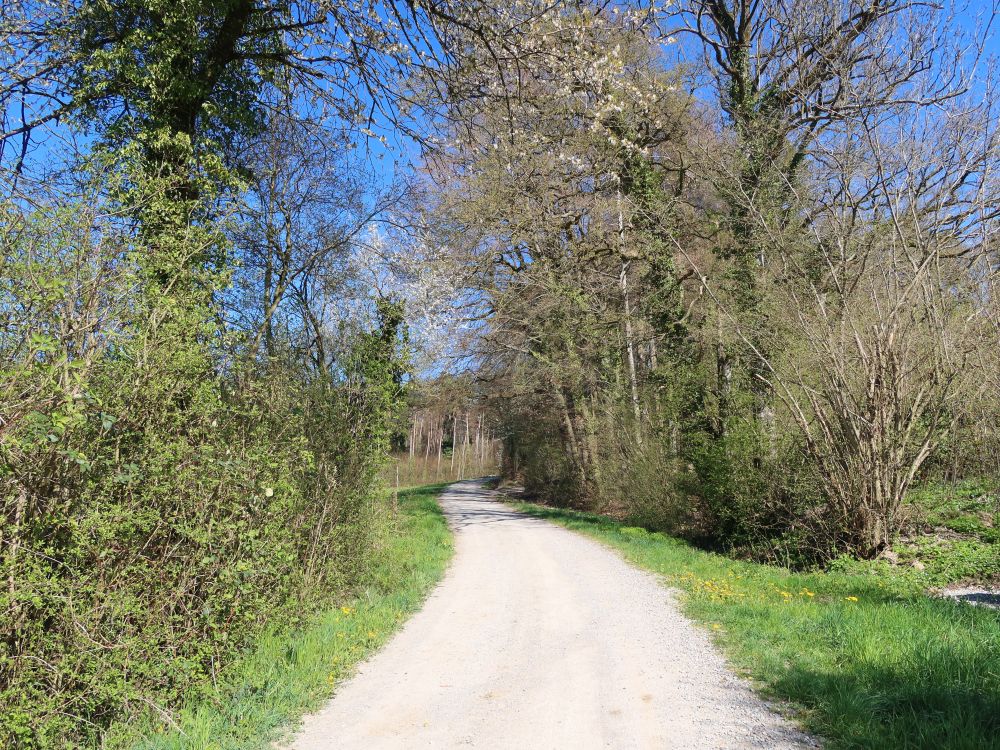 Chilchweg