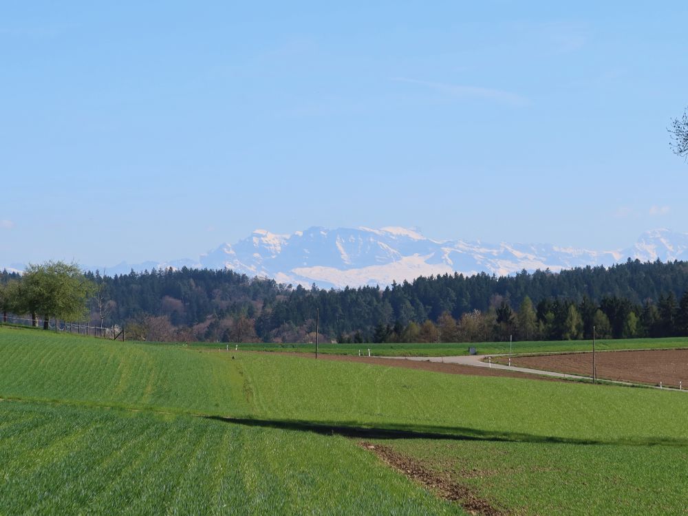 Blick Richtung Glärnisch