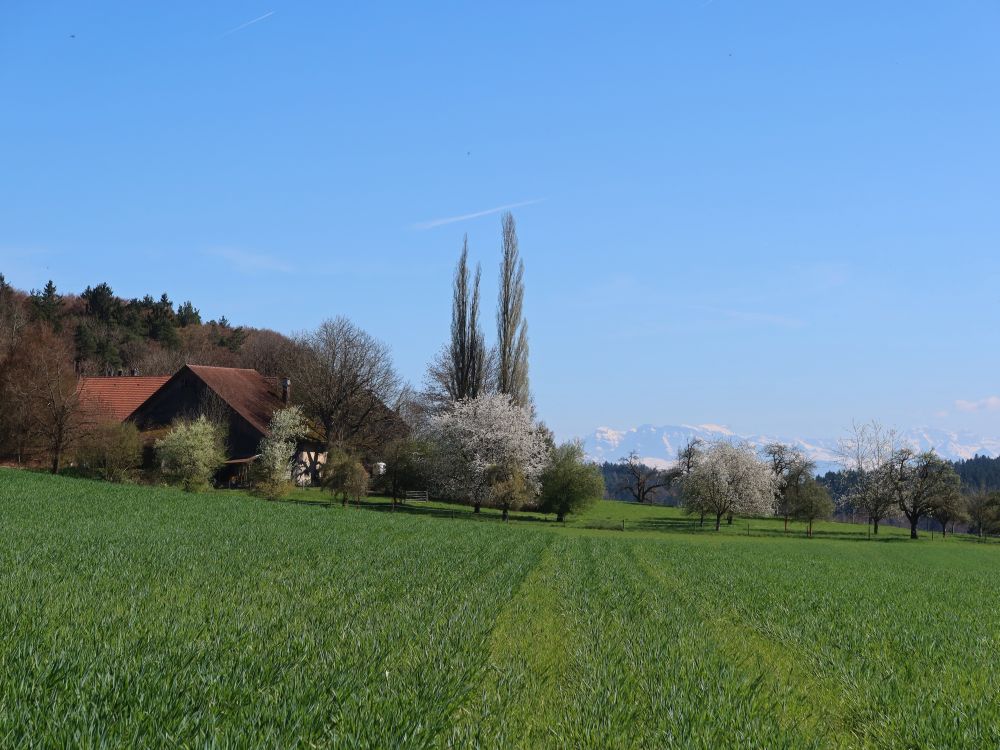 Bauernhof Paradies und Glärnisch