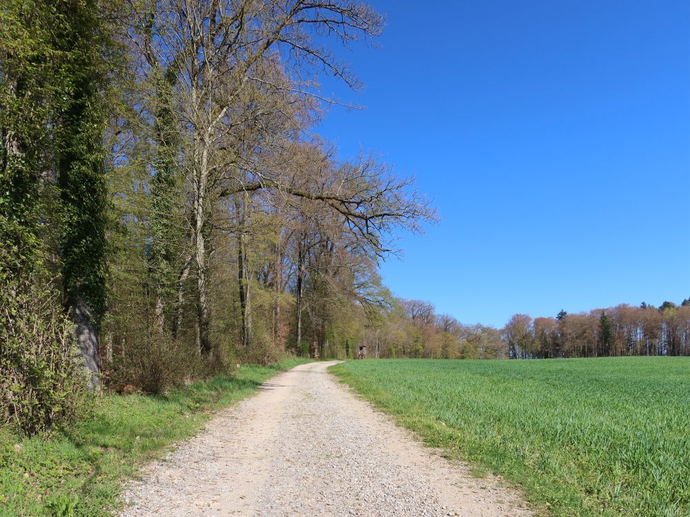 Oberalmetweg
