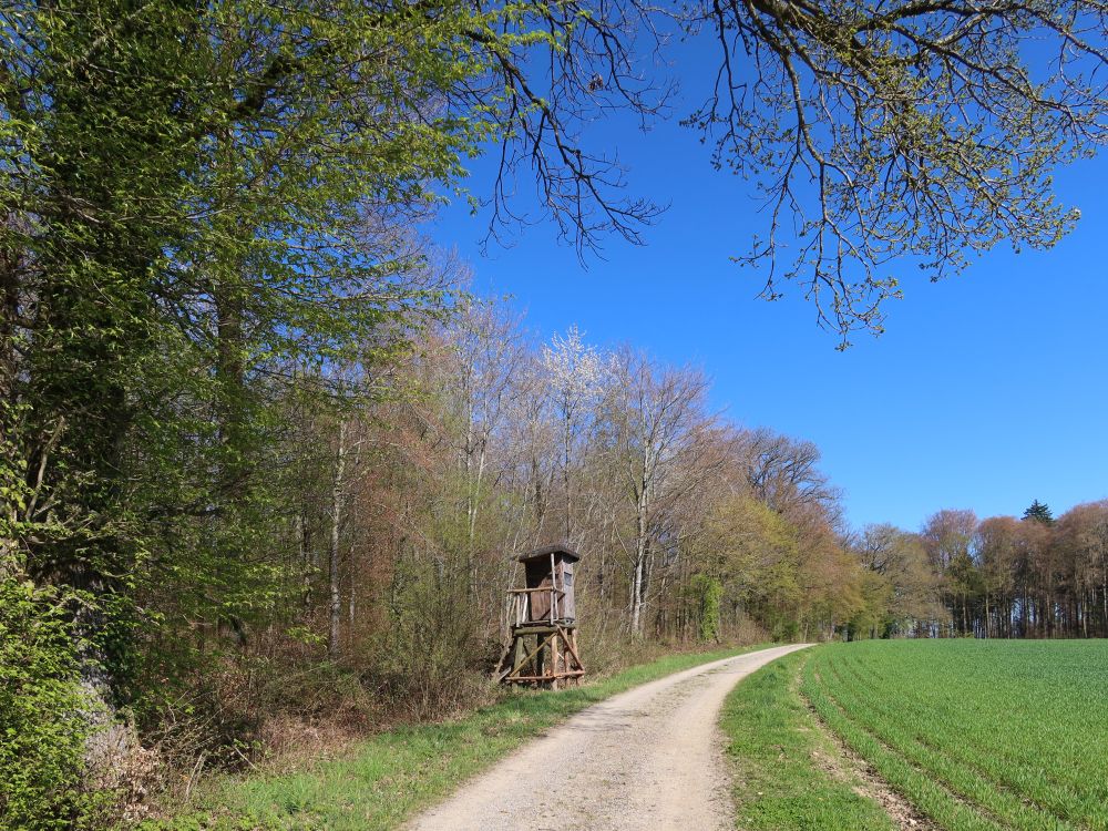 Jägerstand am Waldrand