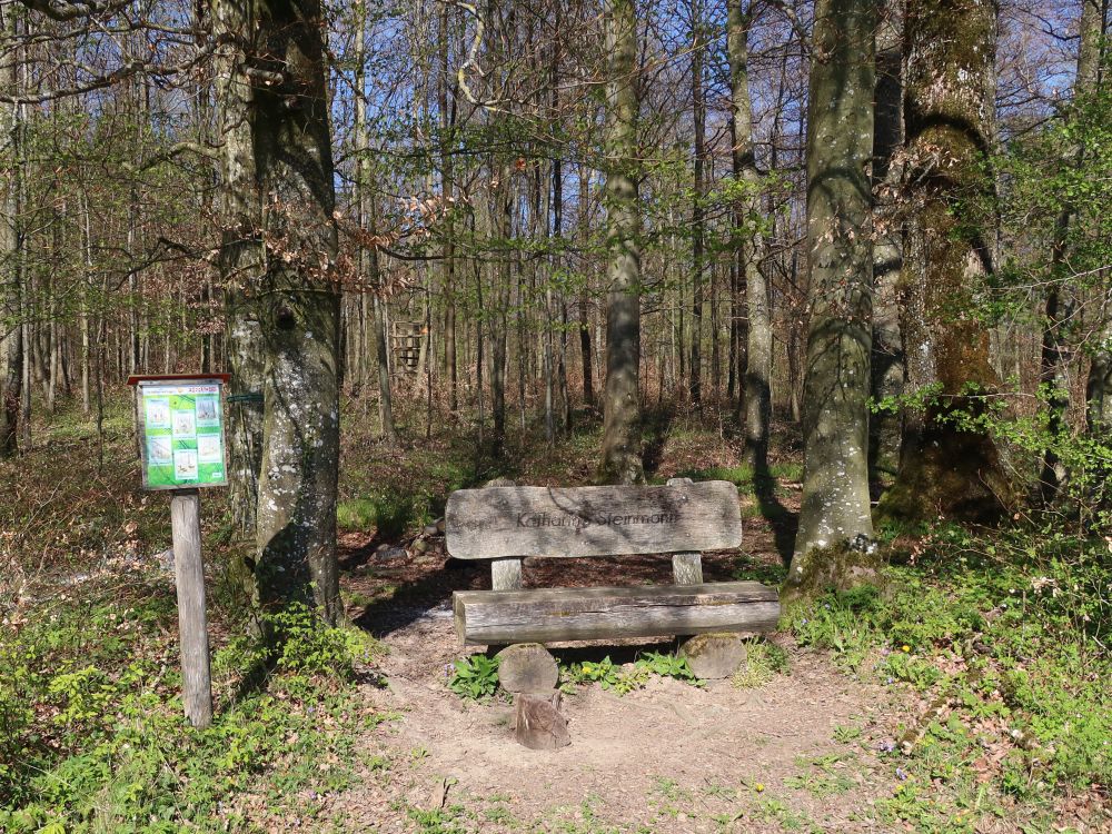 Sitzbank am Waldrand