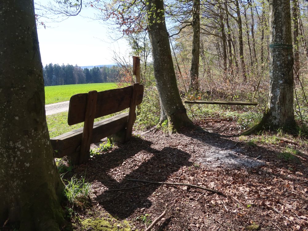 Sitzbankund Schaukel